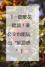 一路繁花一路景！乘公交也能玩出“旅游感”