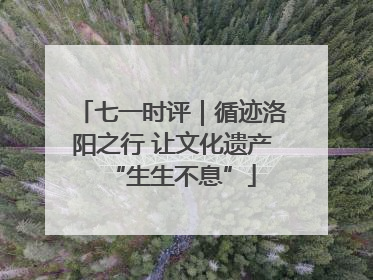 七一时评｜循迹洛阳之行 让文化遗产“生生不息”
