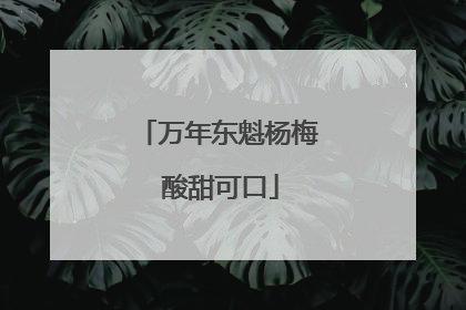 万年东魁杨梅 酸甜可口