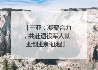三亚：凝聚合力，共赴退役军人就业创业新征程