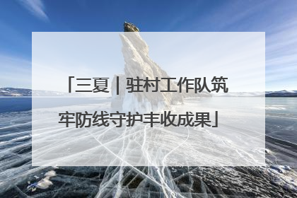 三夏｜驻村工作队筑牢防线守护丰收成果