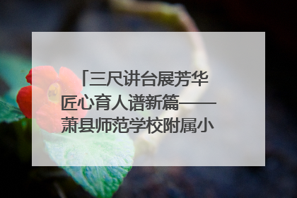 三尺讲台展芳华 匠心育人谱新篇——萧县师范学校附属小学第十三届班主任基本功大赛圆满举办