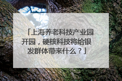 上海养老科技产业园开园，硬核科技将给银发群体带来什么？