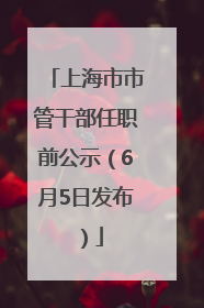 上海市市管干部任职前公示（6月5日发布）