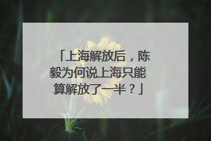 上海解放后，陈毅为何说上海只能算解放了一半？