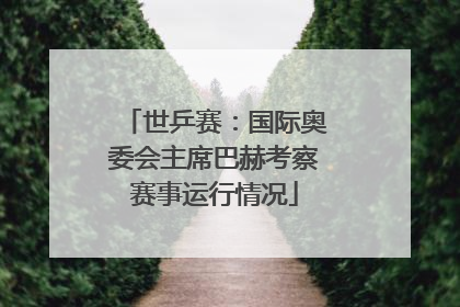 世乒赛：国际奥委会主席巴赫考察赛事运行情况