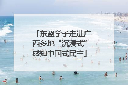 东盟学子走进广西多地“沉浸式”感知中国式民主