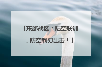 东部战区：陆空联训，防空利刃出击！