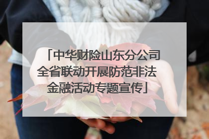中华财险山东分公司全省联动开展防范非法金融活动专题宣传
