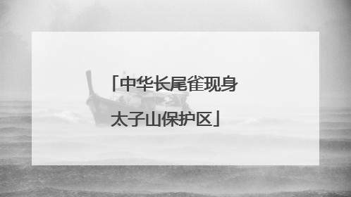 中华长尾雀现身太子山保护区