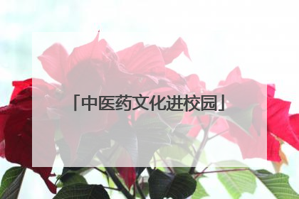 中医药文化进校园