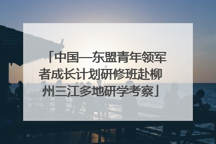 中国—东盟青年领军者成长计划研修班赴柳州三江多地研学考察