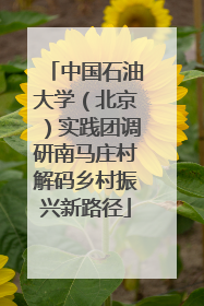 中国石油大学（北京）实践团调研南马庄村解码乡村振兴新路径