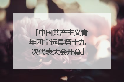 中国共产主义青年团宁远县第十九次代表大会开幕