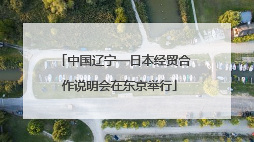 中国辽宁—日本经贸合作说明会在东京举行