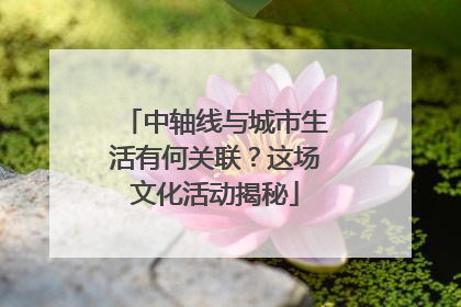 中轴线与城市生活有何关联？这场文化活动揭秘