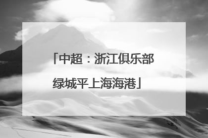 中超：浙江俱乐部绿城平上海海港
