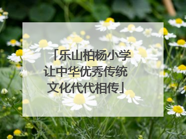 乐山柏杨小学让中华优秀传统文化代代相传