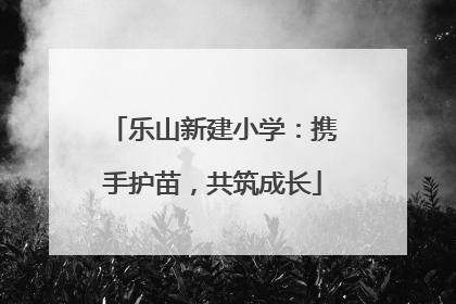 乐山新建小学：携手护苗，共筑成长