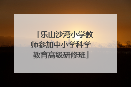 乐山沙湾小学教师参加中小学科学教育高级研修班