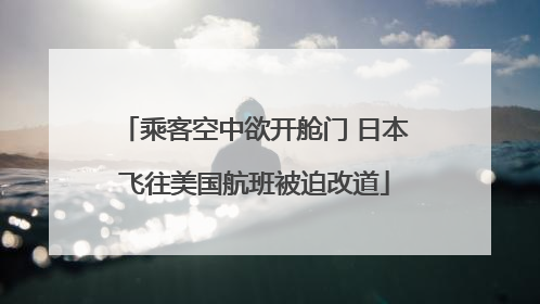 乘客空中欲开舱门 日本飞往美国航班被迫改道