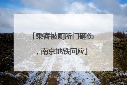 乘客被厕所门砸伤，南京地铁回应