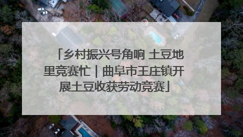 乡村振兴号角响 土豆地里竞赛忙｜曲阜市王庄镇开展土豆收获劳动竞赛