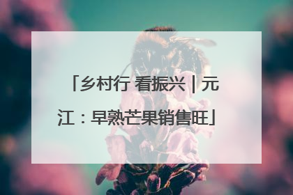 乡村行 看振兴｜元江：早熟芒果销售旺