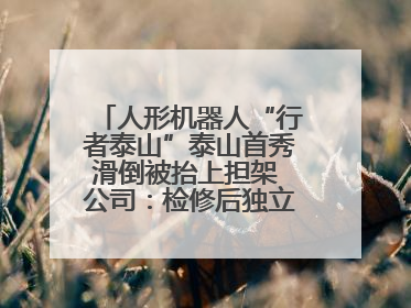 人形机器人“行者泰山”泰山首秀滑倒被抬上担架 公司：检修后独立下山 测试就是为暴露问题