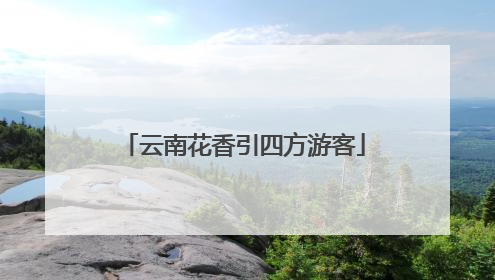 云南花香引四方游客