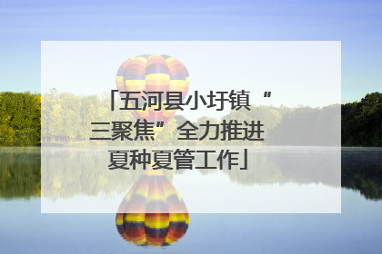 五河县小圩镇“三聚焦”全力推进夏种夏管工作