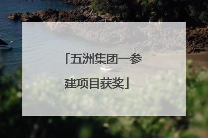 五洲集团一参建项目获奖