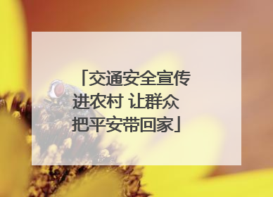 交通安全宣传进农村 让群众把平安带回家