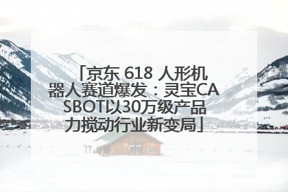 京东 618 人形机器人赛道爆发：灵宝CASBOT以30万级产品力搅动行业新变局