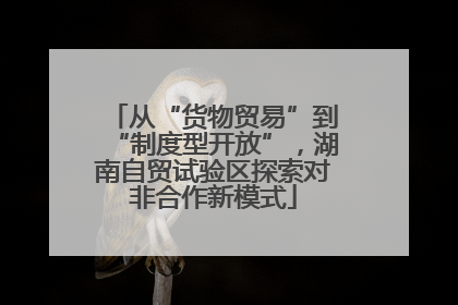 从“货物贸易”到“制度型开放”，湖南自贸试验区探索对非合作新模式