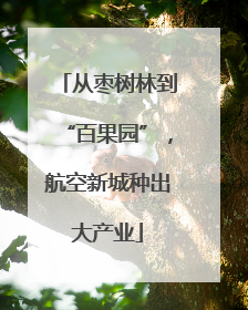 从枣树林到“百果园”，航空新城种出大产业