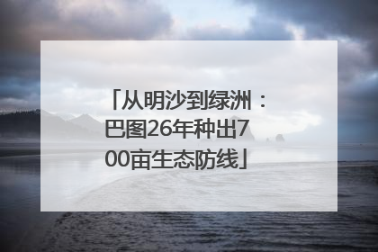 从明沙到绿洲：巴图26年种出700亩生态防线
