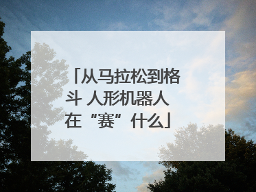 从马拉松到格斗 人形机器人在“赛”什么