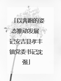 以奔跑的姿态推动发展 记安吉县孝丰镇党委书记沈强