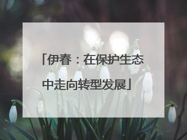 伊春：在保护生态中走向转型发展