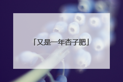 又是一年杏子肥