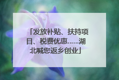 发放补贴、扶持项目、税费优惠……湖北喊您返乡创业