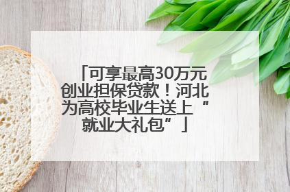 可享最高30万元创业担保贷款！河北为高校毕业生送上“就业大礼包”