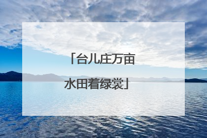 台儿庄万亩水田着绿裳