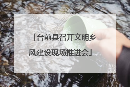 台前县召开文明乡风建设现场推进会