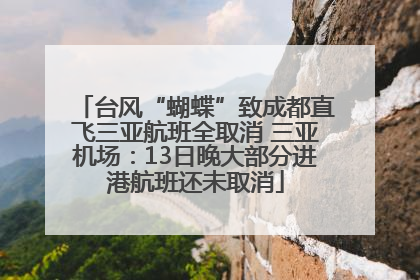 台风“蝴蝶”致成都直飞三亚航班全取消 三亚机场：13日晚大部分进港航班还未取消