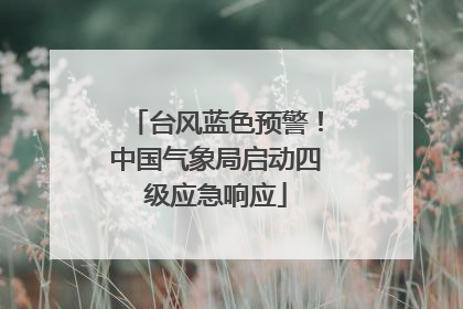 台风蓝色预警！中国气象局启动四级应急响应