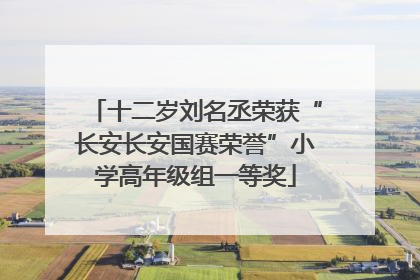 十二岁刘名丞荣获“长安长安国赛荣誉”小学高年级组一等奖