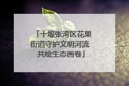 十堰张湾区花果街道守护文明河流 共绘生态画卷