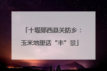 十堰郧西县关防乡：玉米地里话“丰”景